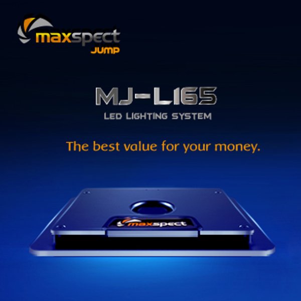 ライトmaxspect jump LEDライト　MJ-L165