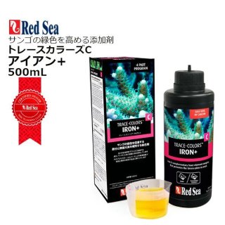 全商品 - 海水魚専門店 ceppo onlinestore (Page 3)