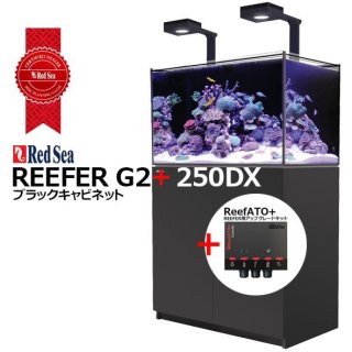 水槽 REEFER,RedSea MAXシリーズ - 海水魚専門店 ceppo 