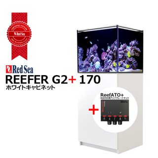 水槽 REEFER,RedSea MAXシリーズ - 海水魚専門店 ceppo onlinestore