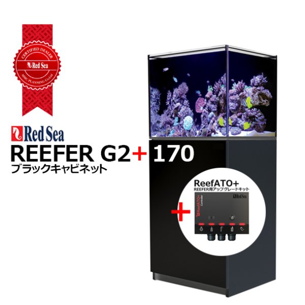 RedSea REEFER G2+ 170ブラックキャビネット - 海水魚専門店 ceppo