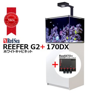 水槽 REEFER,RedSea MAXシリーズ - 海水魚専門店 ceppo onlinestore