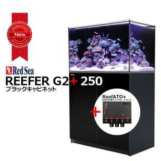 RedSea REEFER G2+ 200 ホワイトキャビネット - 海水魚専門店 ceppo 