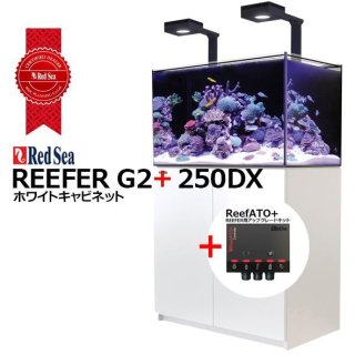 RedSea REEFER G2+ 300 ホワイトキャビネット - 海水魚専門店 ceppo