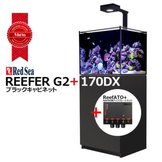 水槽 REEFER,RedSea MAXシリーズ - 海水魚専門店 ceppo onlinestore