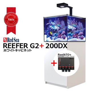 RedSea REEFER G2+ 170DX ホワイトキャビネット - 海水魚専門店 ceppo