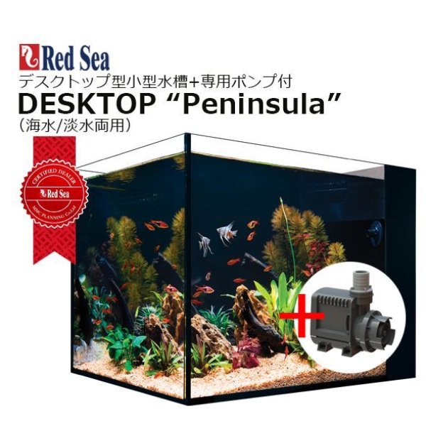 レッドシー デスクトップ ペニンシュラ +純正ポンプセット DESKTOP Peninsula +Circulation Pump950 -  海水魚専門店 ceppo onlinestore