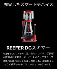 画像7: RedSea REEFER MAX G2+ 250　ブラックキャビネット (7)