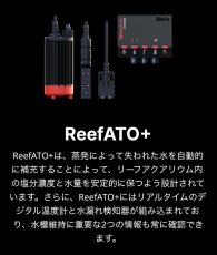 画像11: RedSea REEFER MAX G2+ 250　ブラックキャビネット (11)