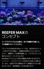 画像3: RedSea REEFER MAX G2+ 250　ホワイトキャビネット (3)