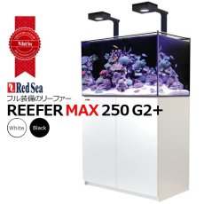 画像1: RedSea REEFER MAX G2+ 250　ブラックキャビネット (1)