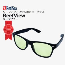 画像1: レッドシー ReefView リーフビュー (1)