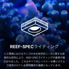 画像5: RedSea MAX NANO G2 Cube ブラックキャビネット 50Hz (5)