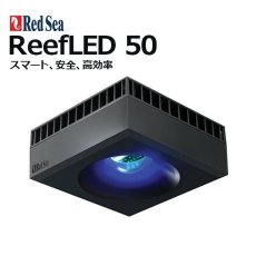 画像5: 期間限定・特別キャンペーン価格 レッドシー REEFER NANO DX ブラックキャビネット (5)