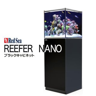 水槽 REEFER,RedSea MAXシリーズ - 海水魚専門店 ceppo onlinestore