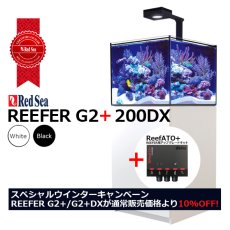 画像1: 期間限定・特別キャンペーン価格 レッドシー REEFER 200DX G2+ 　ブラックキャビネット (1)