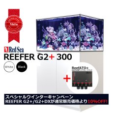 画像1: 期間限定・特別キャンペーン価格 レッドシー REEFER 300 G2 +　ホワイトキャビネット (1)