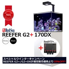 画像1: 期間限定・特別キャンペーン価格 レッドシー REEFER 170DX G2+ ブラックキャビネット (1)