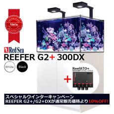 画像1: 期間限定・特別キャンペーン価格 レッドシー REEFER 300DX G2 +　ブラックキャビネット (1)