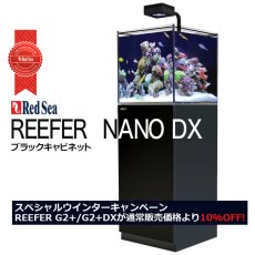 画像1: 期間限定・特別キャンペーン価格 レッドシー REEFER NANO DX ブラックキャビネット (1)