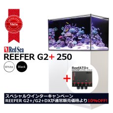 画像1: 期間限定・特別キャンペーン価格 レッドシー REEFER 250 G2+ 　ブラックキャビネット (1)