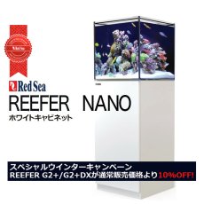 画像1: 期間限定・特別キャンペーン価格 レッドシー REEFER NANO ホワイトキャビネット (1)