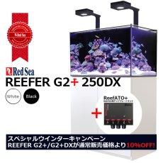 画像1: 期間限定・特別キャンペーン価格 レッドシー REEFER 250DX G2+　ホワイトキャビネット (1)