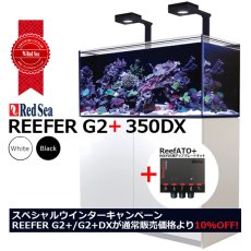 画像1: 期間限定・特別キャンペーン価格 レッドシー REEFER 350DX G2+ 　ホワイトキャビネット (1)