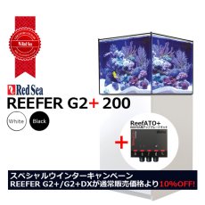 画像1: 期間限定・特別キャンペーン価格 レッドシー REEFER 200G2+ 　ホワイトキャビネット (1)