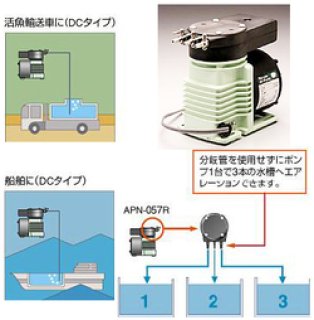 レイシー たて型ポンプ P-425V - 海水魚専門店 ceppo onlinestore