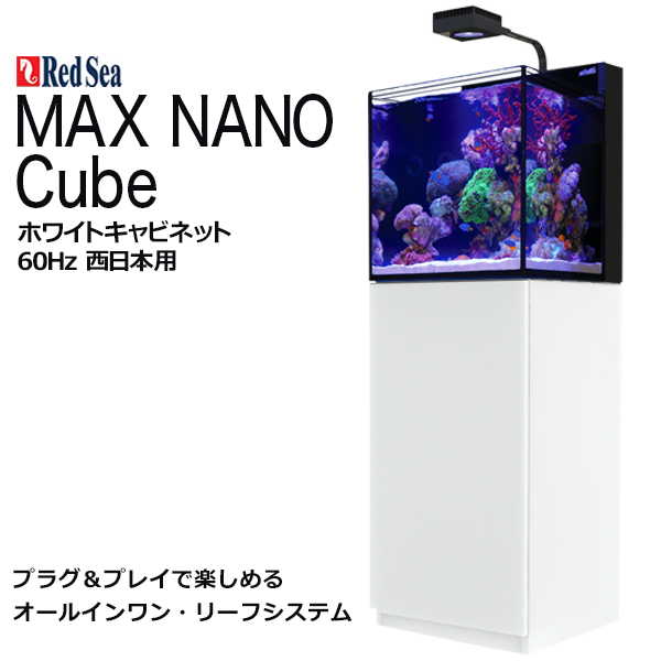 現品限り一斉値下げ！ RedSeaMAX NANO 